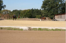 Springplatz 30m x 55m mit Kirchhellener Reitsand