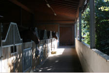 Pensionsstall mit besonderer Bauweise um den Bedürfnissen der Pferde bzgl. Licht und Luft gerecht zu werden.